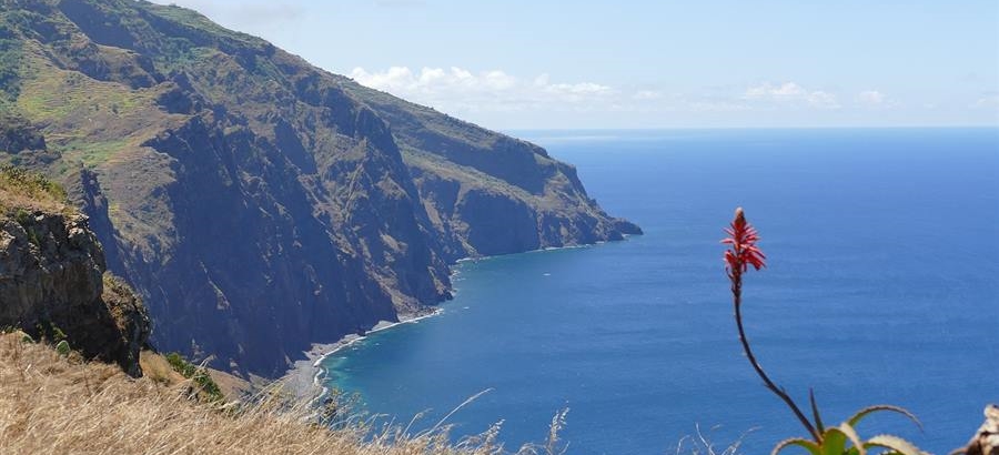 Madeira, paradiso fiorito - Self Drive