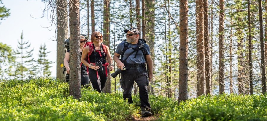 Trekking Lapponia meridionale