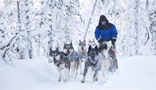 Aurora Adventure Break - Muotka - Volo Incluso