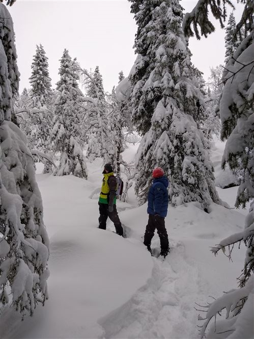 Natale finlandese a Syöte