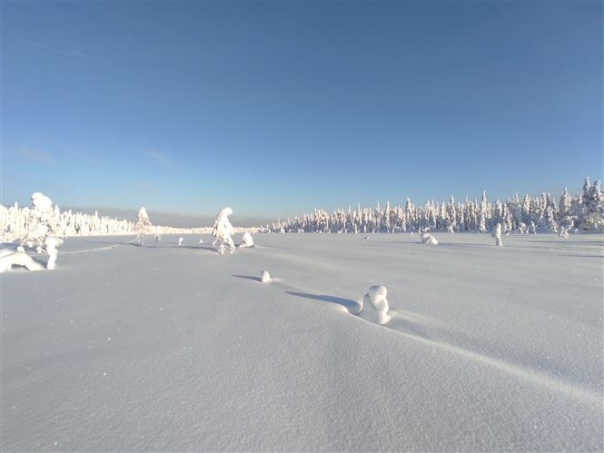 Natale finlandese a Syöte