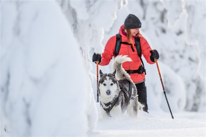 Natale finlandese a Syöte