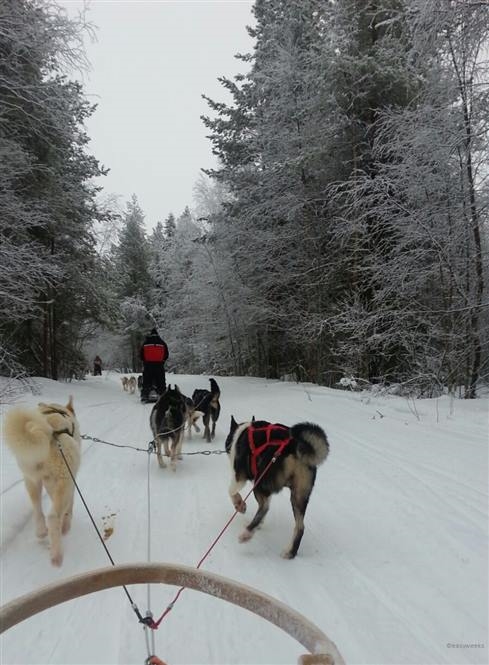 Luci invernali a Rovaniemi Hotel Arctic city