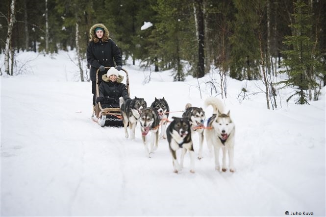 Magia Lappone al Santa's Igloos