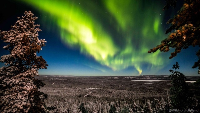 Prima Neve a Rovaniemi e Kuusamo - volo incluso