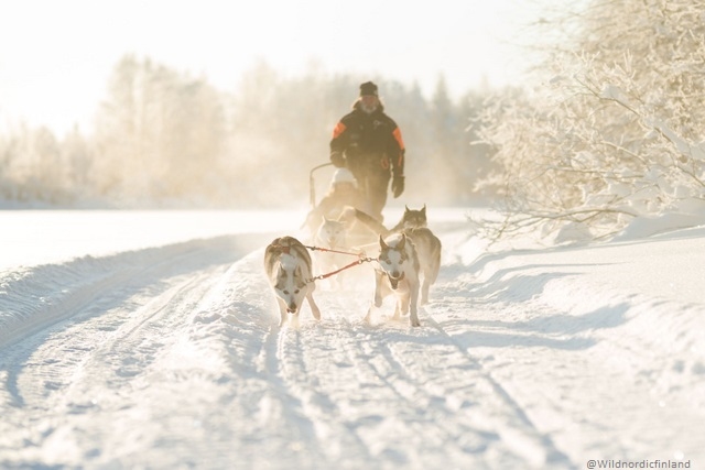 Prima Neve a Rovaniemi e Kuusamo - volo incluso