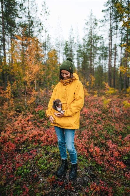 Ruska ed Aurore, Rovaniemi, Luosto e Inari - volo incluso