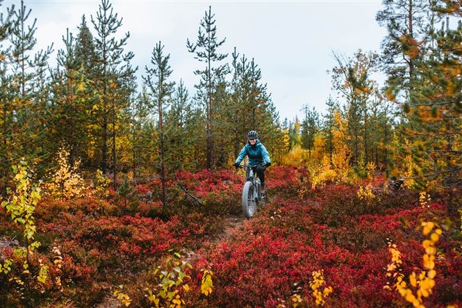 Ruska ed Aurore, Rovaniemi, Luosto e Inari - volo incluso