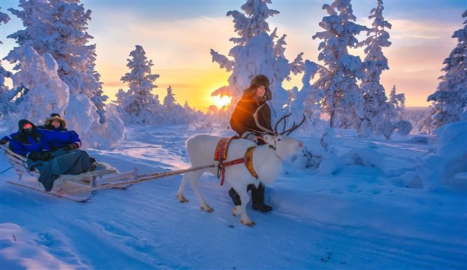 Discover Lapland Experience