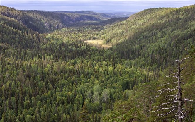 Trekking Lapponia meridionale