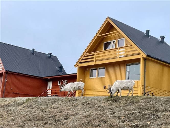 Le SVALBARD d'estate