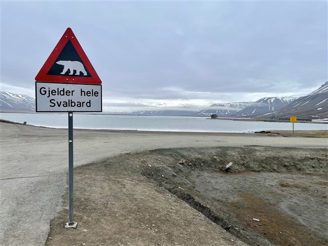Le SVALBARD d'estate