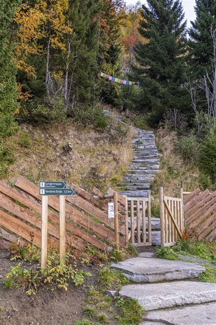 Tour Fotografico Nord Norvegia