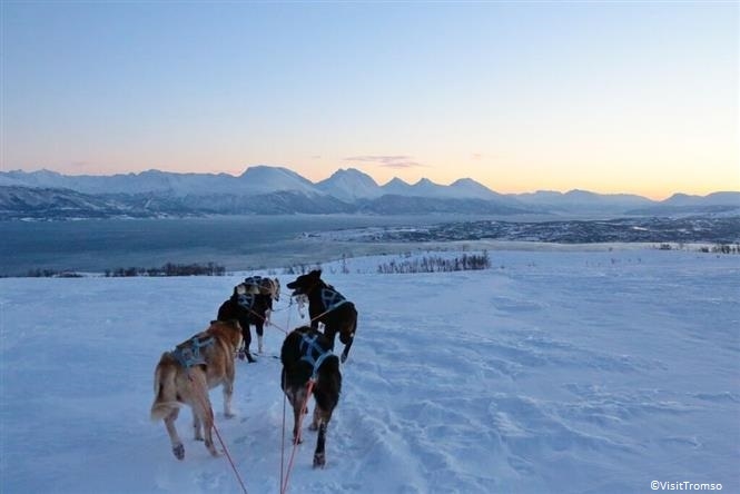 Tromsø, Lyngen, Alta - Sami e Luci del Nord