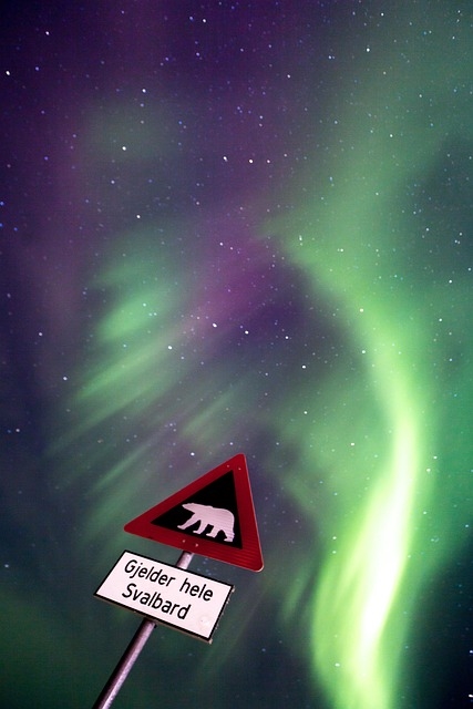 Isole SVALBARD e notte polare