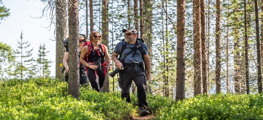 Trekking Lapponia meridionale