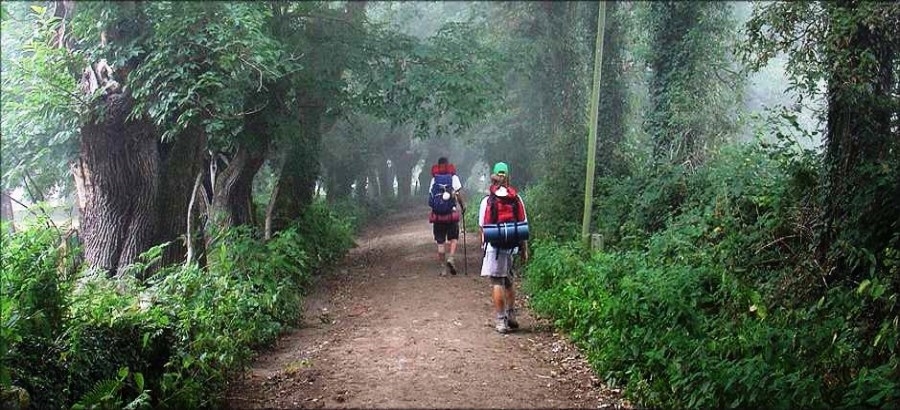 Cammino di Santiago