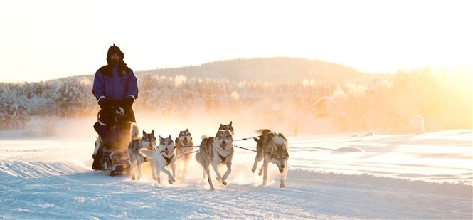 Aurora Break ad Inari - Volo Incluso