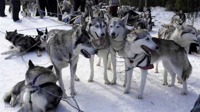 Break invernale a Rovaniemi