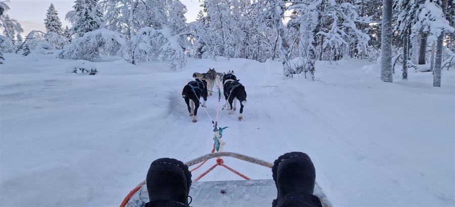 Inari Winter Break