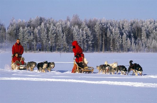 Capodanno a Kuhmo - Wild Taiga