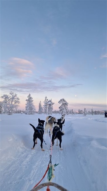 Pausa d'inverno - Juutua Inari - Volo Incluso