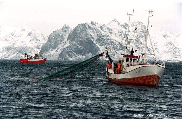 Avventura invernale alle Lofoten