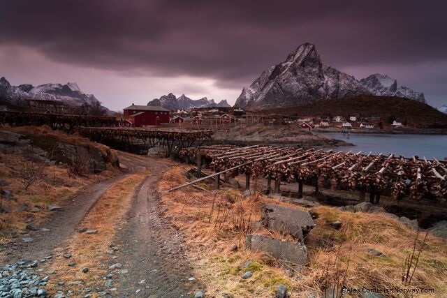 Capodanno alle Lofoten - Partenza garantita