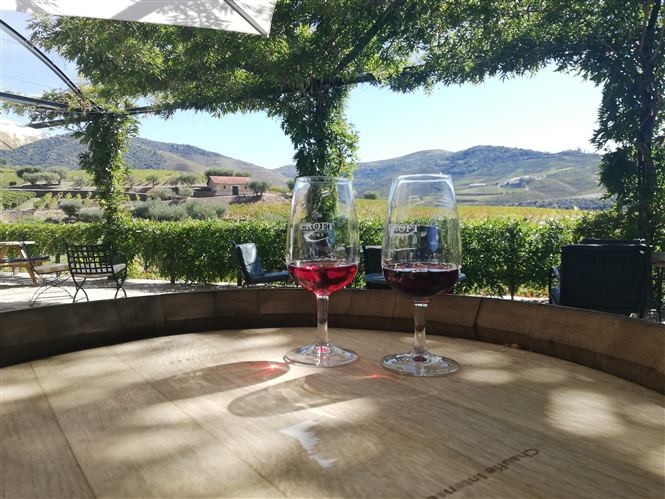 Tra vitigni e vini portoghesi - Self Drive