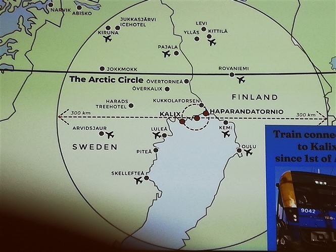 Bellezza Artica Svedese