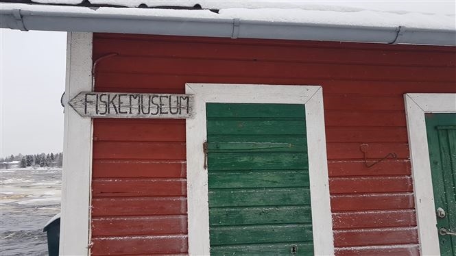 Bellezza Artica Svedese