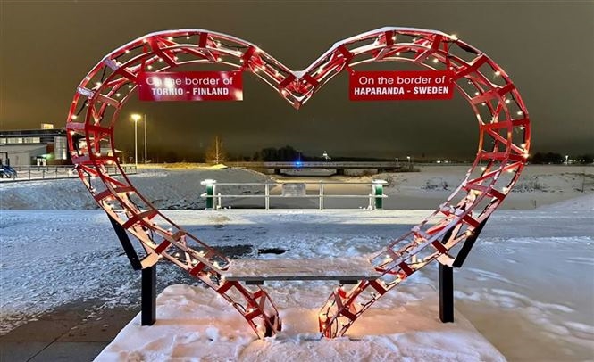 Bellezza Artica Svedese