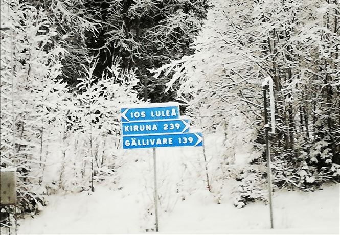 Bellezza Artica Svedese