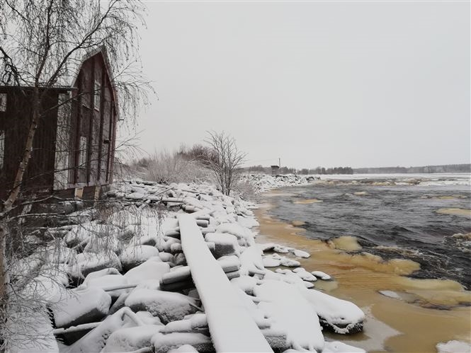 Bellezza Artica Svedese