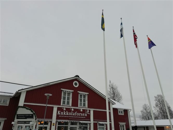 Bellezza Artica Svedese