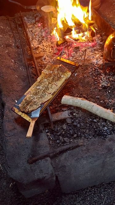 Bellezza Artica Svedese